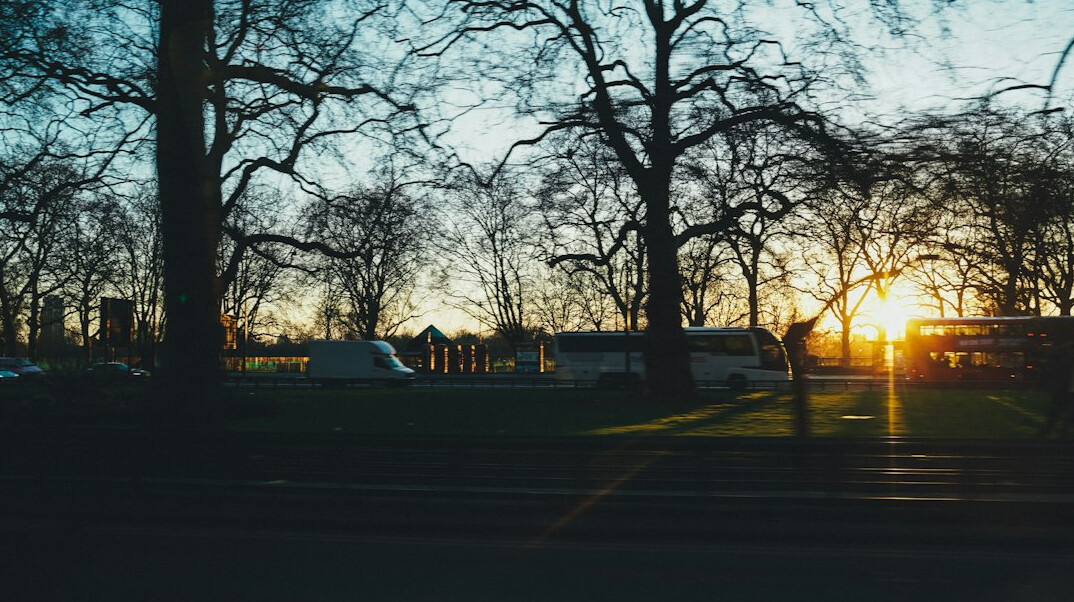 city park at sunset