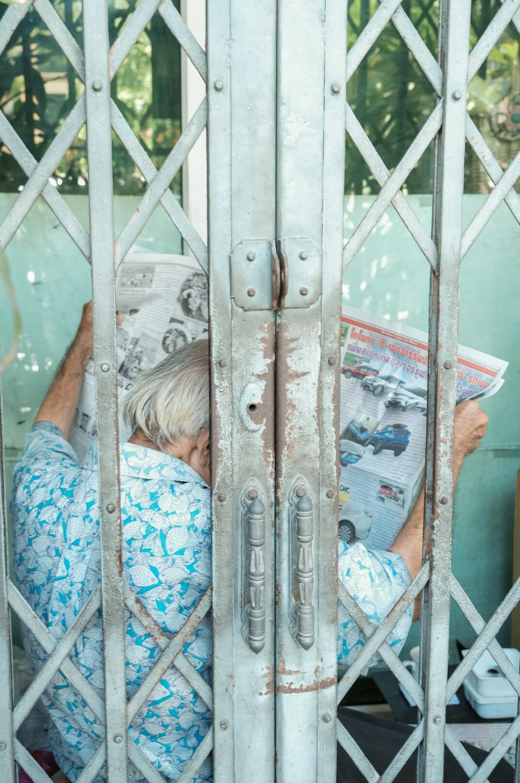elderly person reading by window